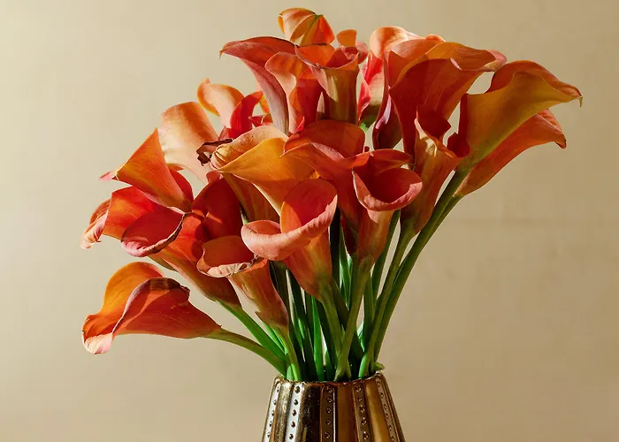 Raphael - Relais & Chateaux 5*