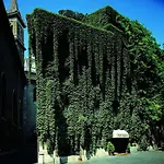 فندق Raphael - Relais & Chateaux